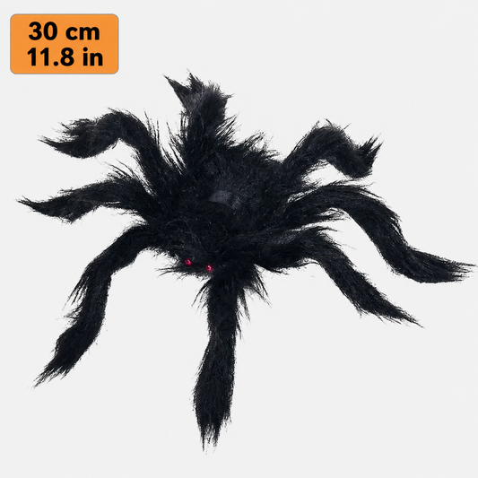 Black fuzzy spider size comparison – 30 cm (11.8 in)