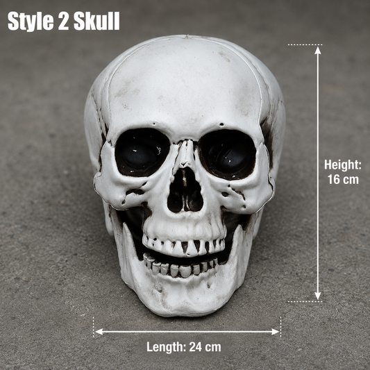 Style 2 realistic skull decoration, 16 cm high and 24 cm long