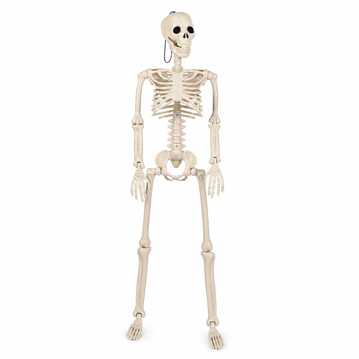 43 In Hanging Distressed Skeleton Halloween Decoration