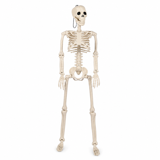43 In Hanging Distressed Skeleton Halloween Decoration