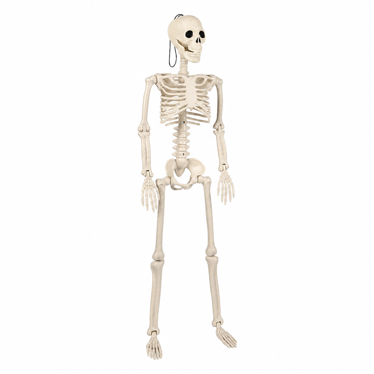 Weathered bone details on hanging skeleton decoration