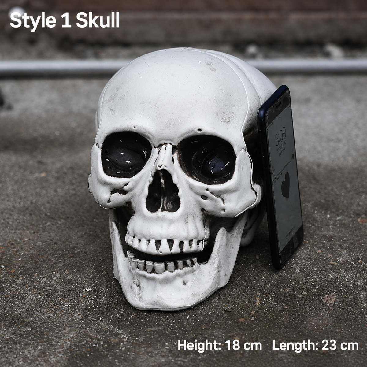 Style 1 realistic skull decoration, 18 cm high and 23 cm long