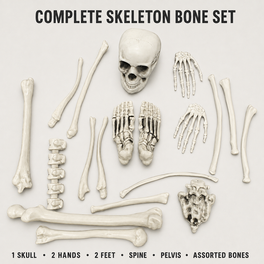 Skeleton Bone Decoration Set – Halloween Graveyard Bones with Mesh Storage Bag