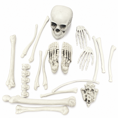 Skeleton Bone Decoration Set – Halloween Graveyard Bones with Mesh Storage Bag