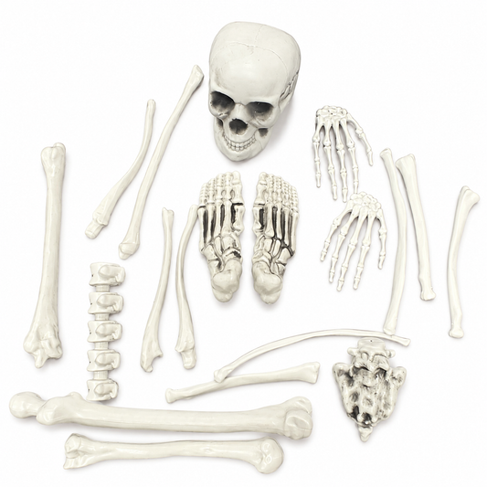 Skeleton Bone Decoration Set – Halloween Graveyard Bones with Mesh Storage Bag