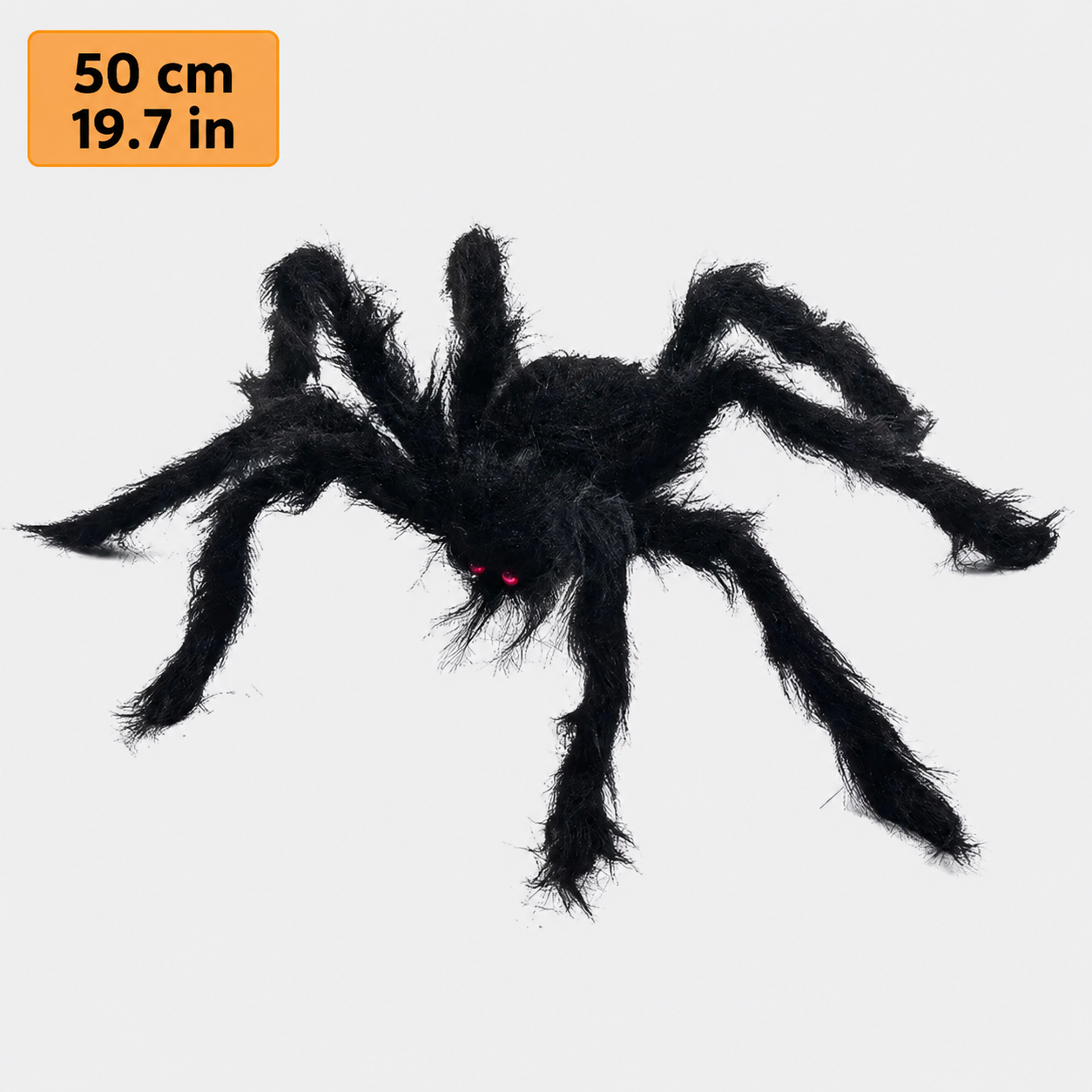 Black fuzzy spider size comparison – 50 cm (19.7 in)