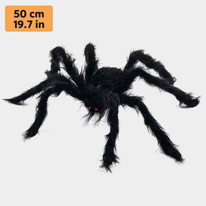Black fuzzy spider size comparison – 50 cm (19.7 in)