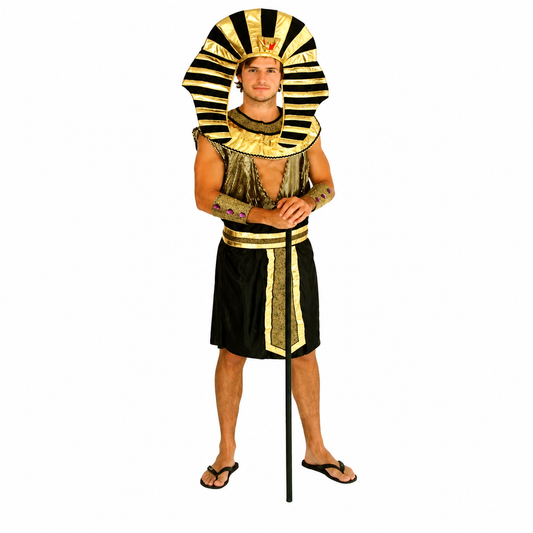 Men's Pharaoh King Halloween Costume - product image 1