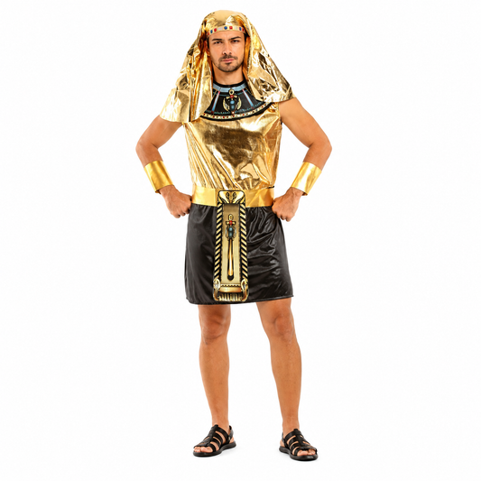 Men's Egyptian Gold Warrior Halloween Costume - product image 1