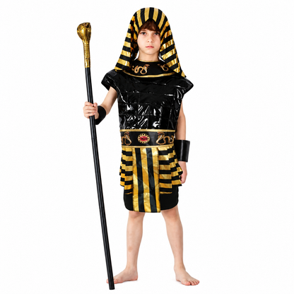 Boys Egyptian Gold Warrior Halloween Costume - product image 1