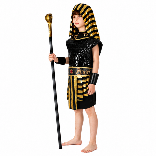 Boys Egyptian Gold Warrior Halloween Costume - product image 2