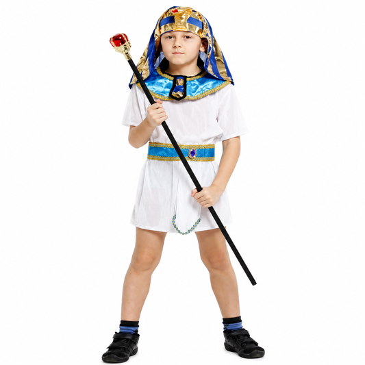 Boys Egyptian Prince Halloween Costume - product image 1