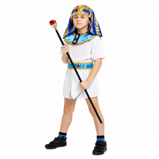 Boys Egyptian Prince Halloween Costume - product image 2