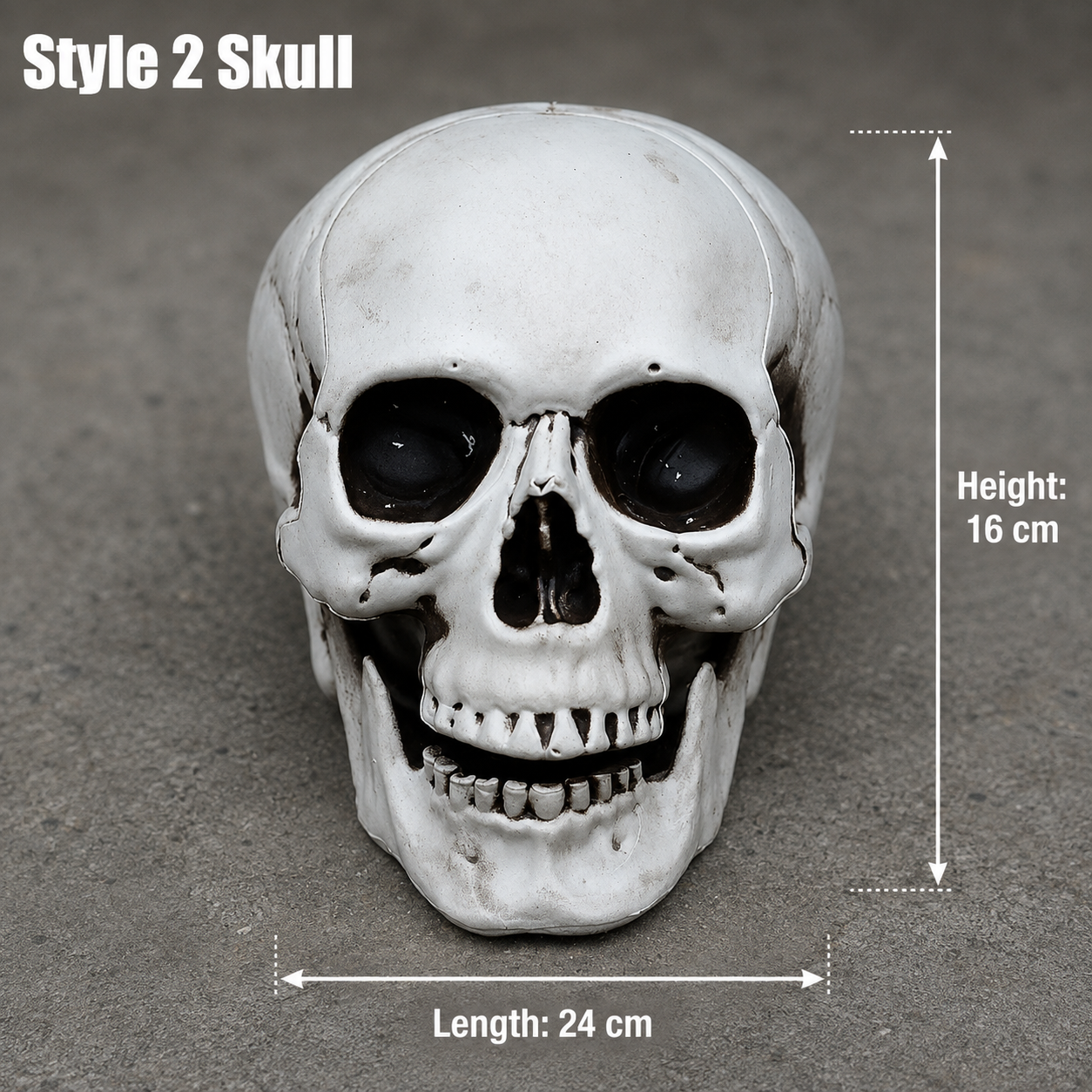 Style 2 realistic skull decoration, 16 cm high and 24 cm long