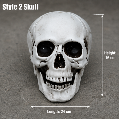 Style 2 realistic skull decoration, 16 cm high and 24 cm long