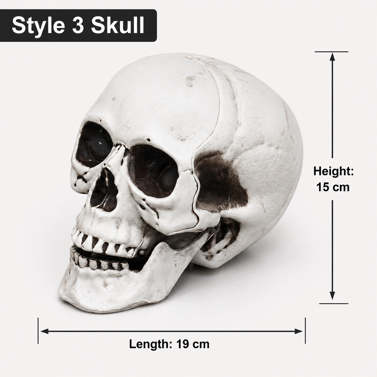 Style 3 realistic skull decoration, 15 cm high and 19 cm long