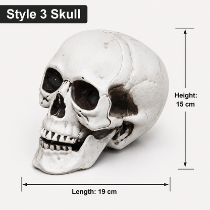 Style 3 realistic skull decoration, 15 cm high and 19 cm long