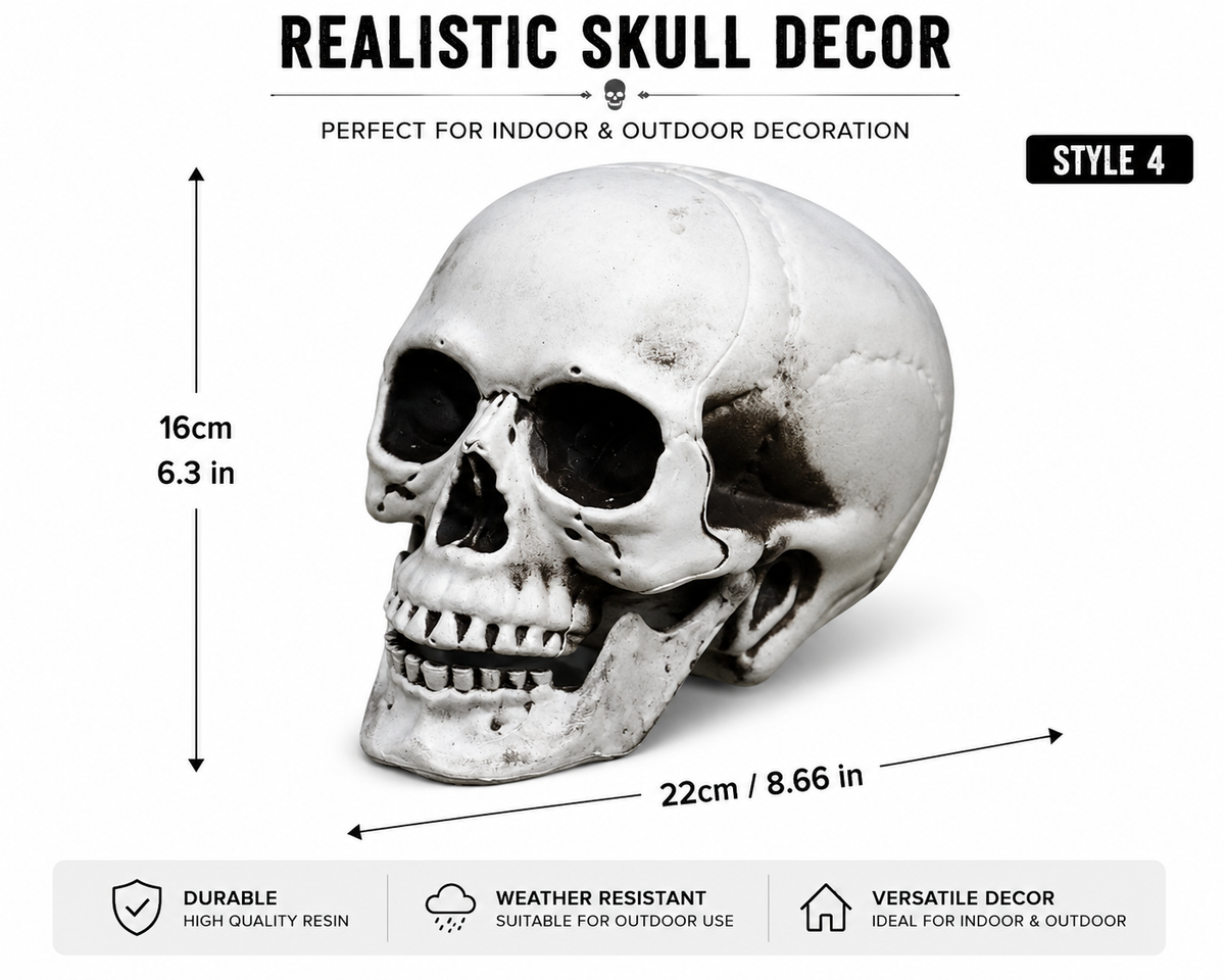 Style 4 realistic skull decoration, 16 cm high and 22 cm long