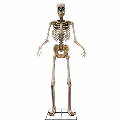 8 Ft Animated Skeleton with Light-Up Eyes, Moving Jaw & Sound – Halloween Yard Prop